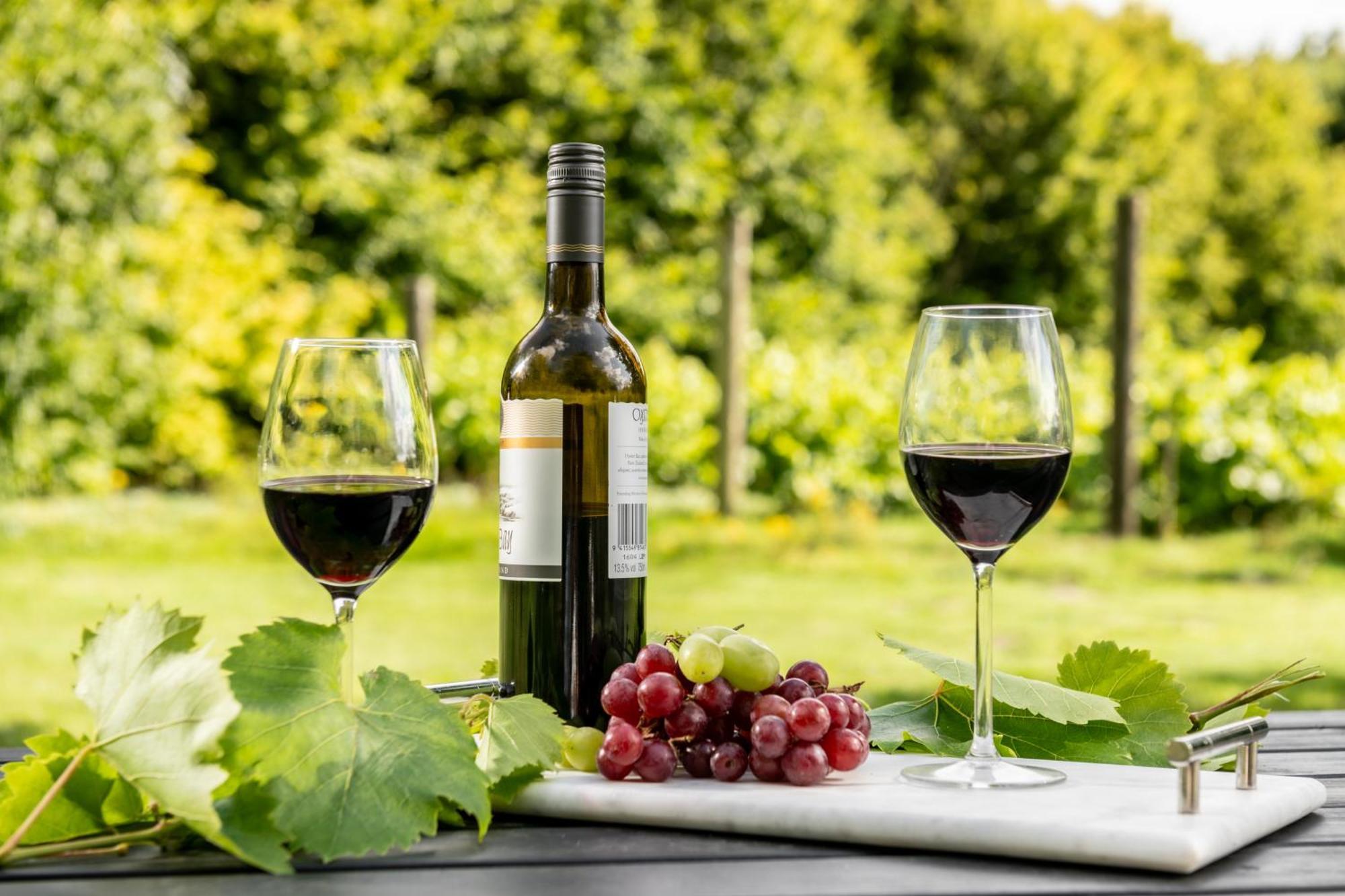 Vila Downwood Vineyard Manor In Idyllic Countryside Blandford Forum Exteriér fotografie